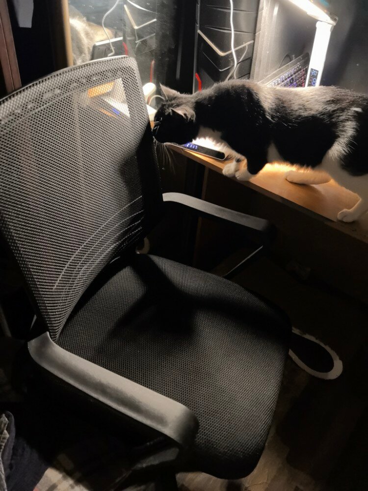 review-photo