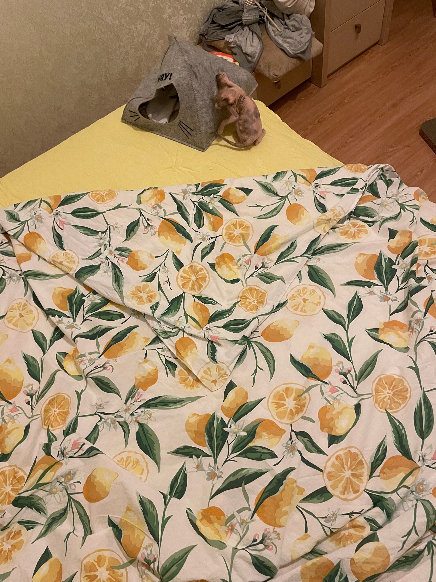 review-photo