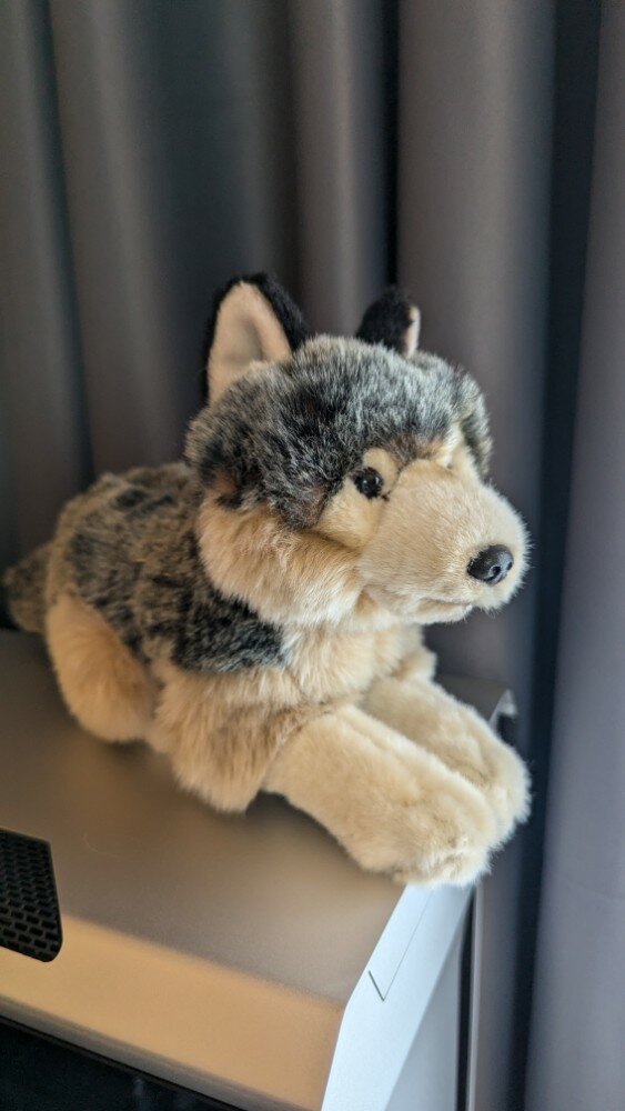 review-photo