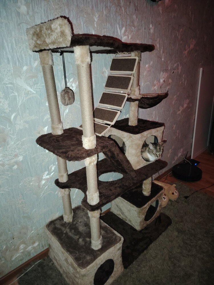 review-photo