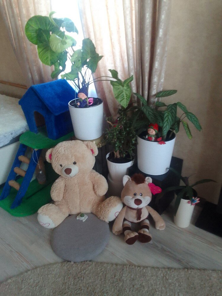 review-photo