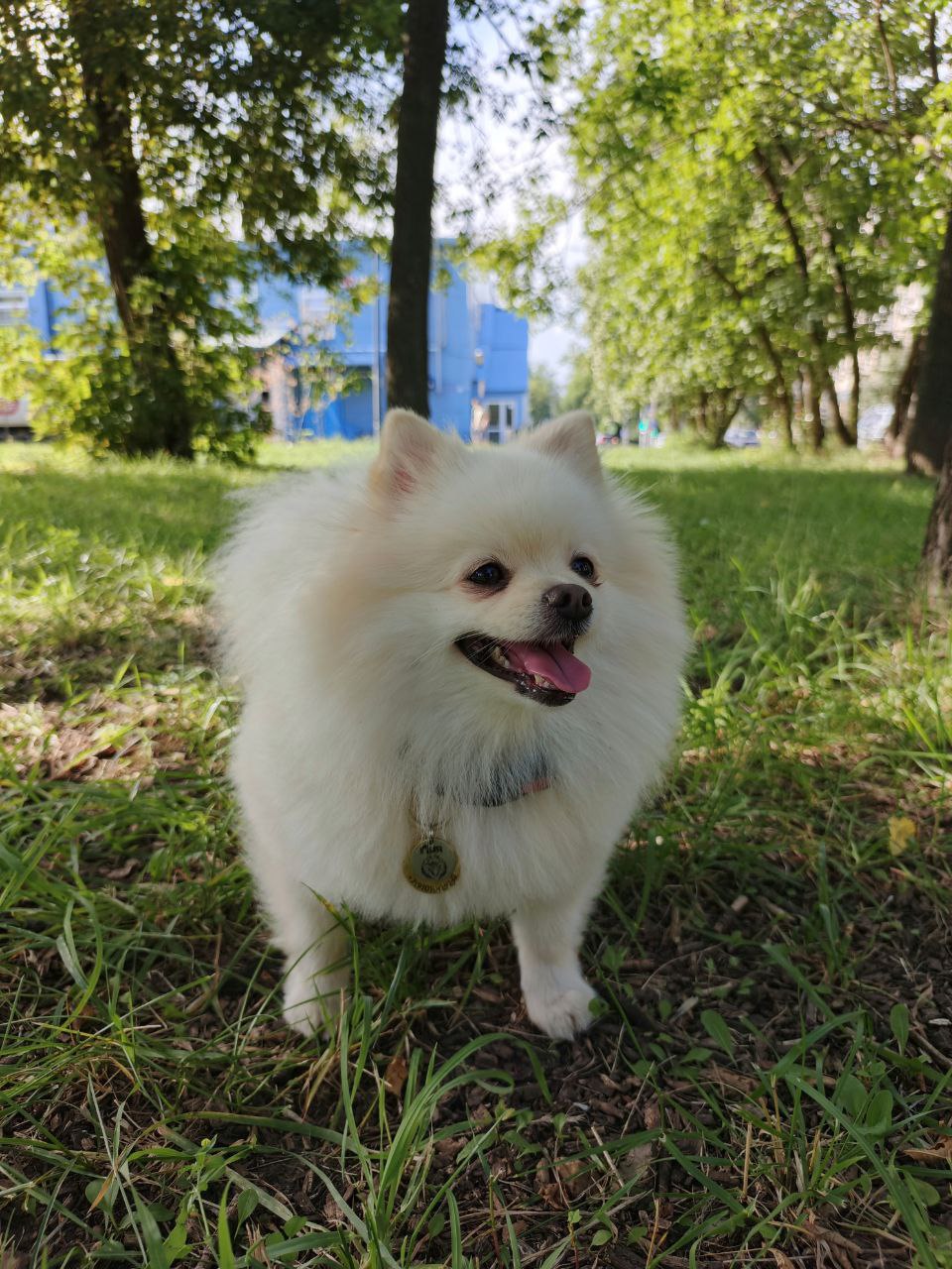 review-photo