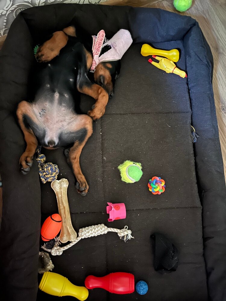 review-photo