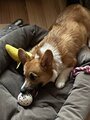 review-photo