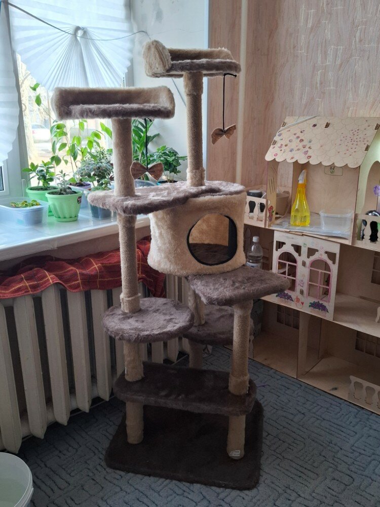 review-photo