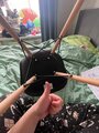 review-photo