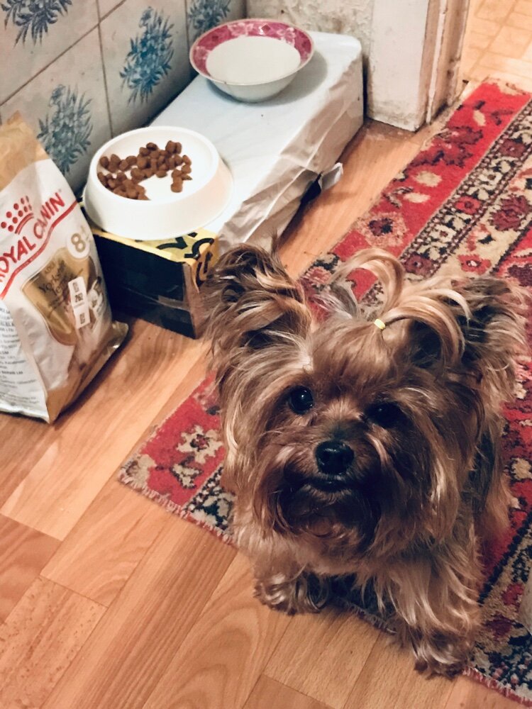 review-photo