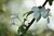 g5pkvq6dn089xj83qadgqdtbpc