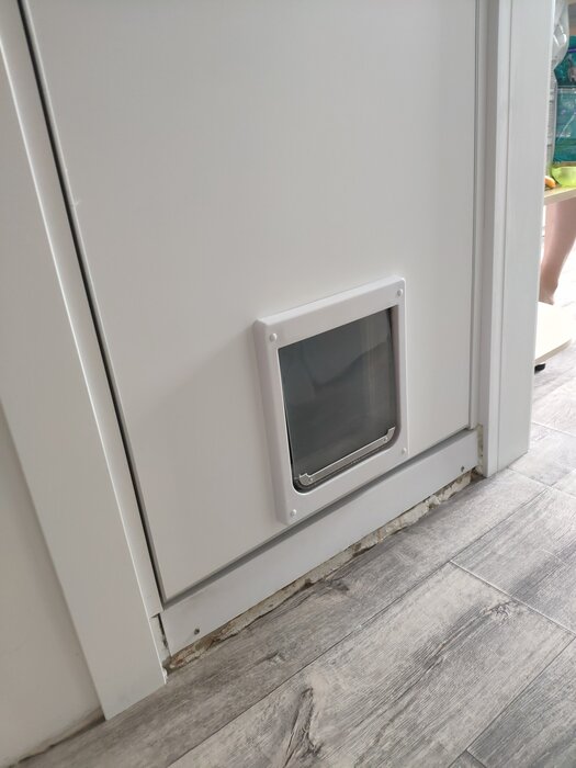 Дверца в дверь для животных TRIXIE 2-Way Flap XS-S 25х29  см белый - фото № 2 от пользователя  Seventh 7th
