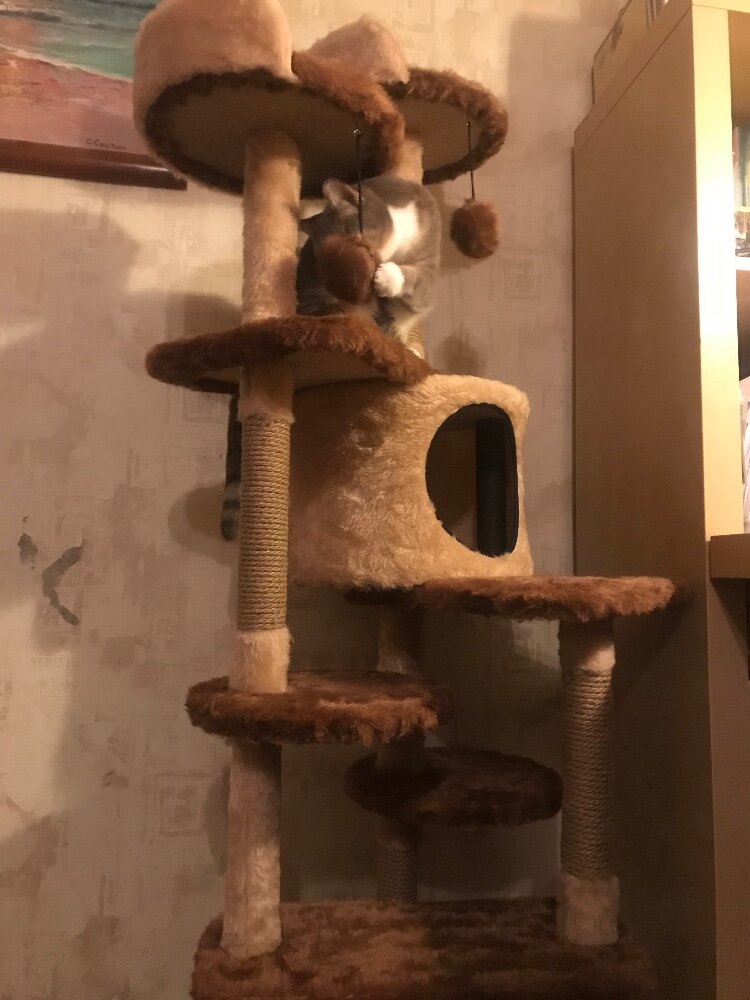 review-photo