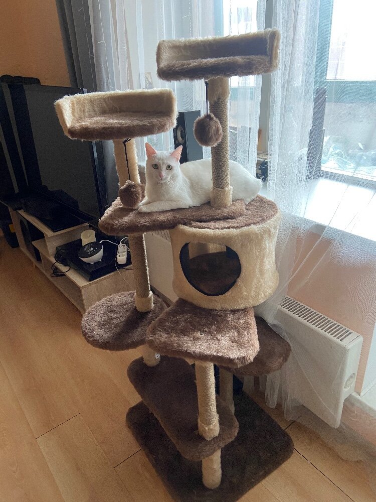 review-photo