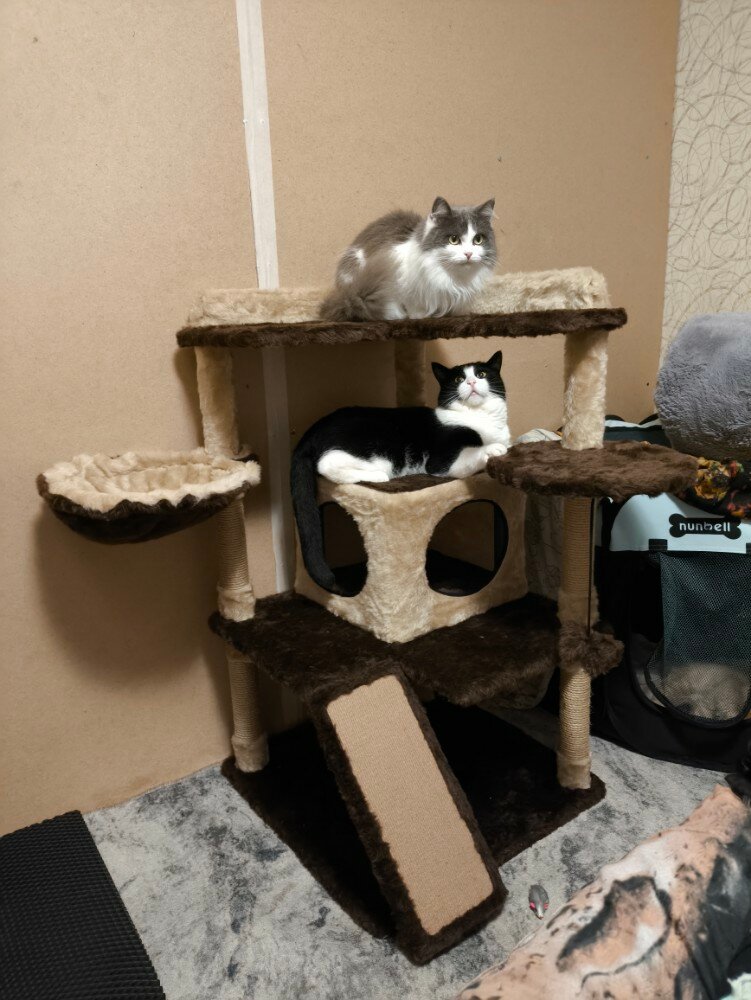 review-photo