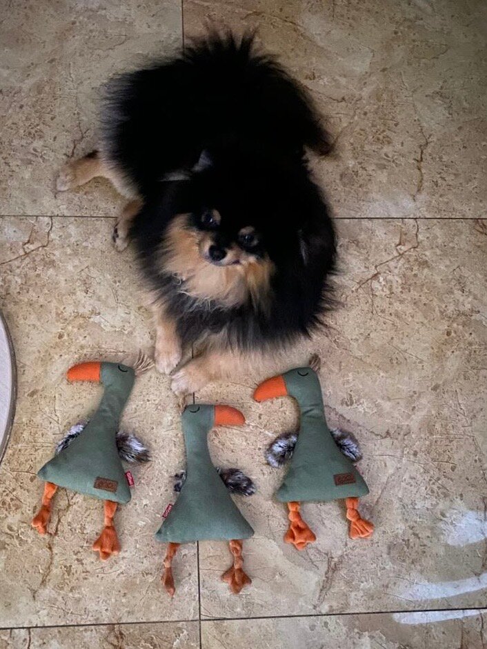 review-photo