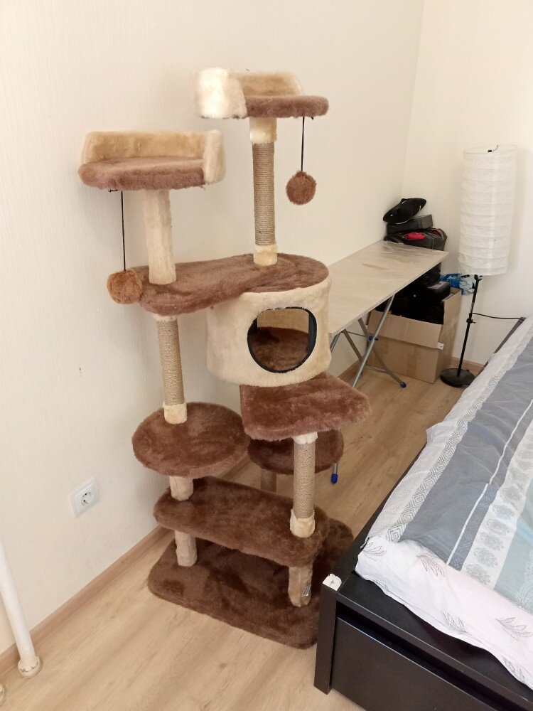 review-photo
