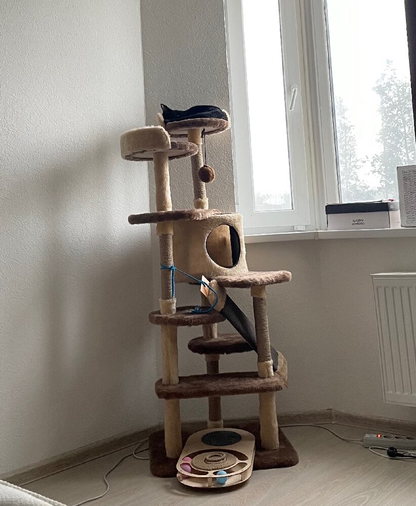 review-photo