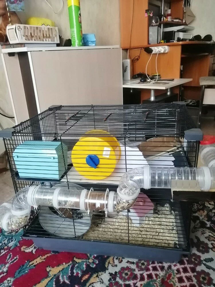 review-photo