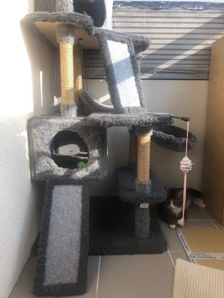 review-photo
