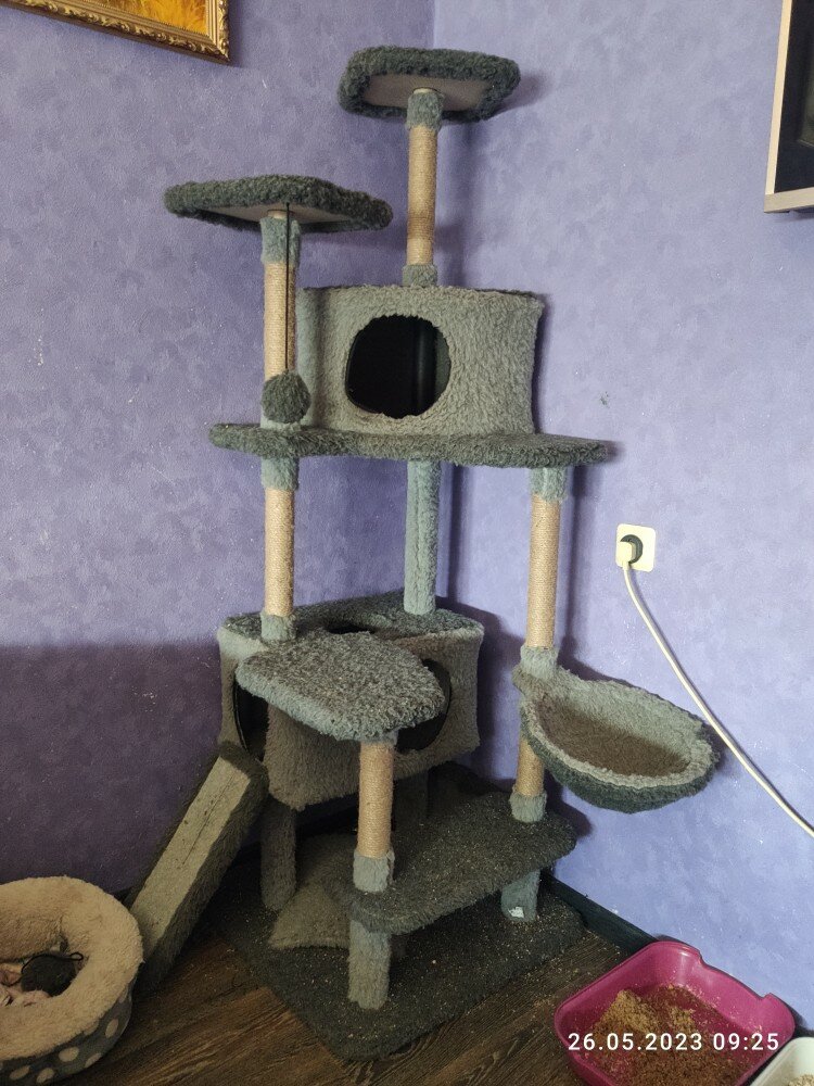 review-photo