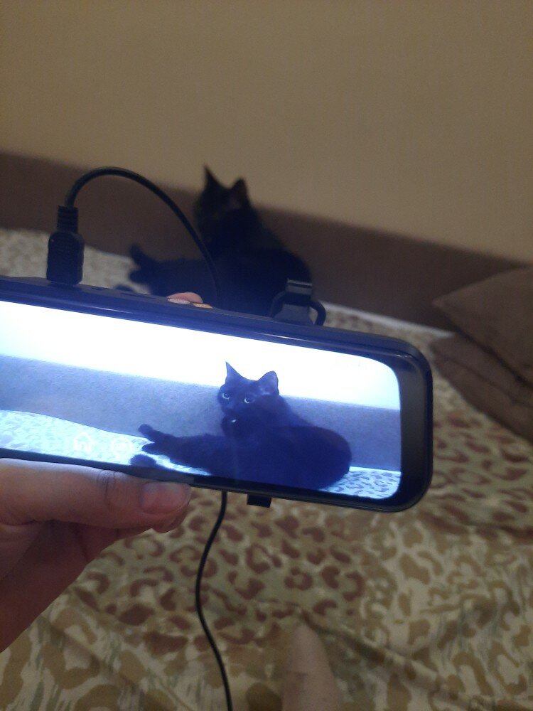 review-photo