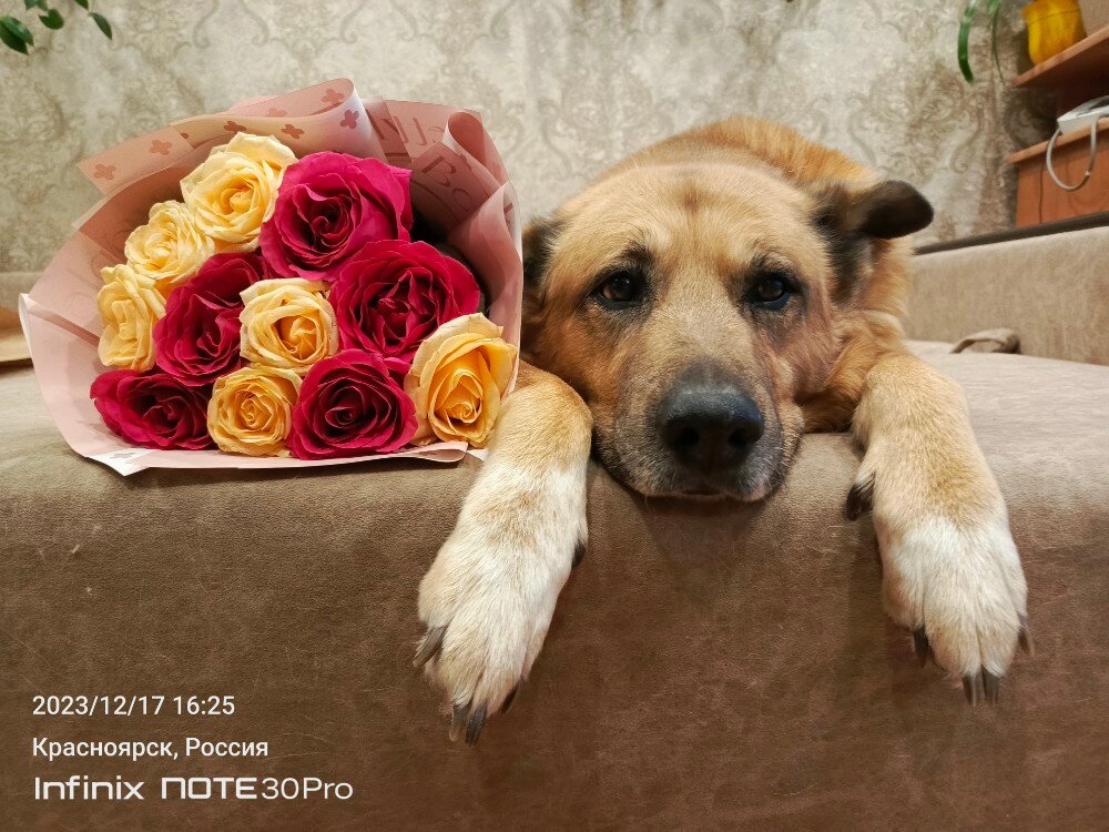 review-photo