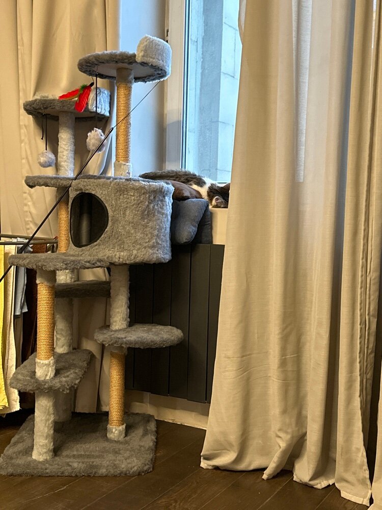 review-photo