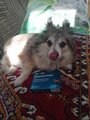 review-photo