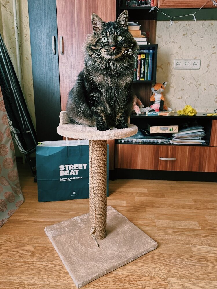 review-photo