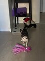 review-photo