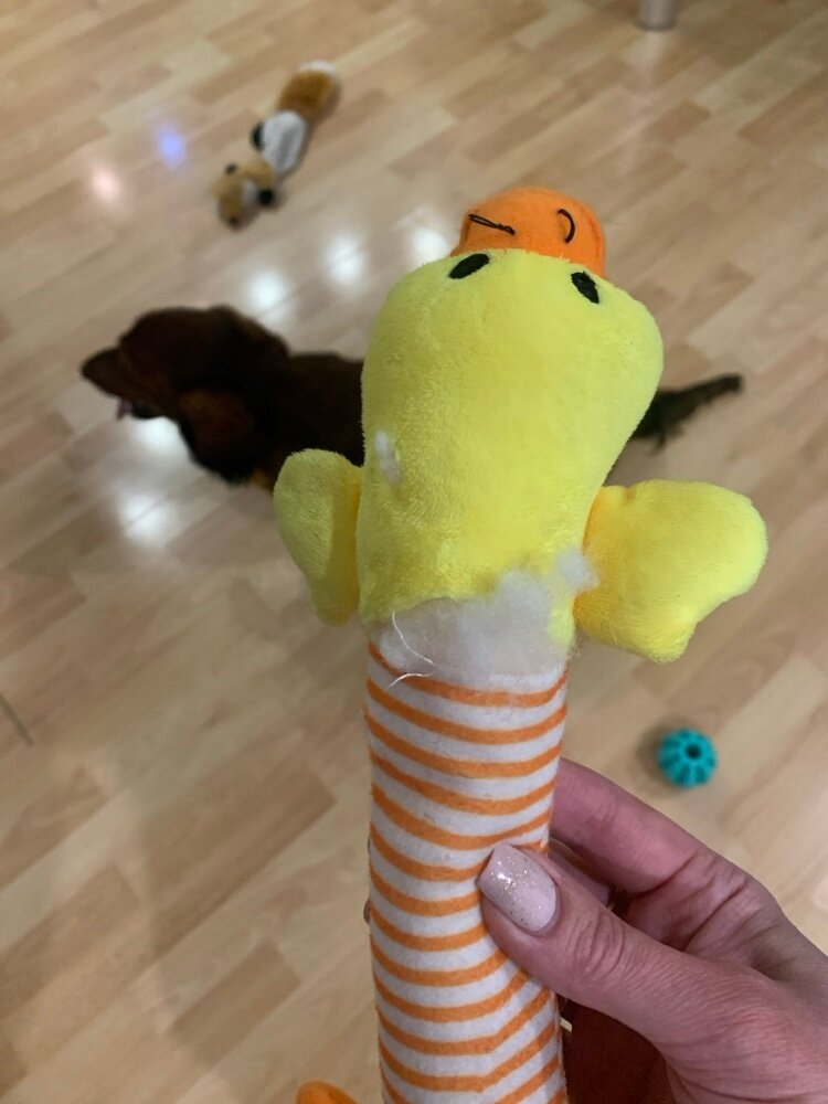 review-photo