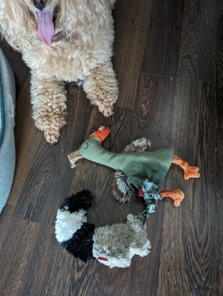 review-photo