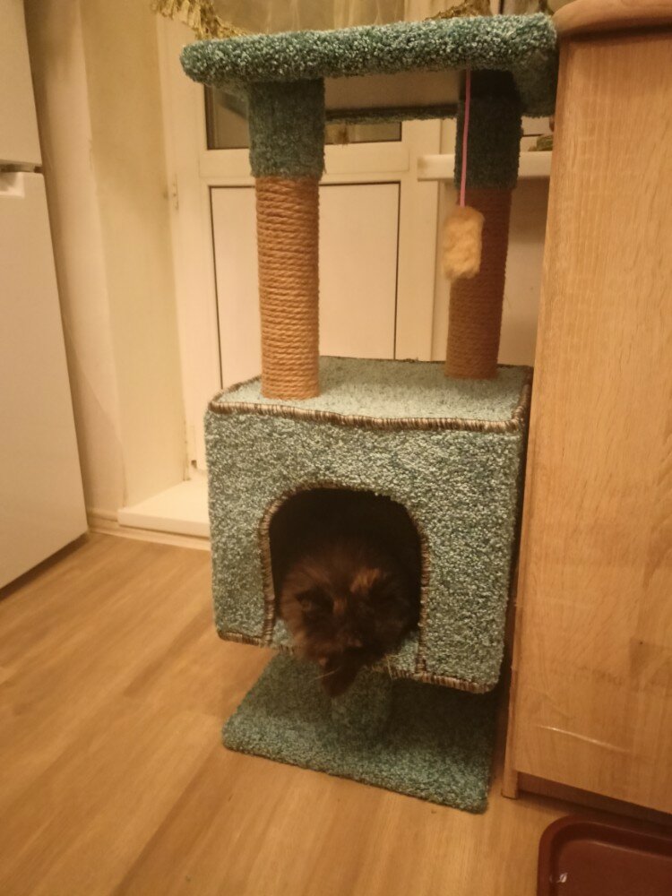 review-photo