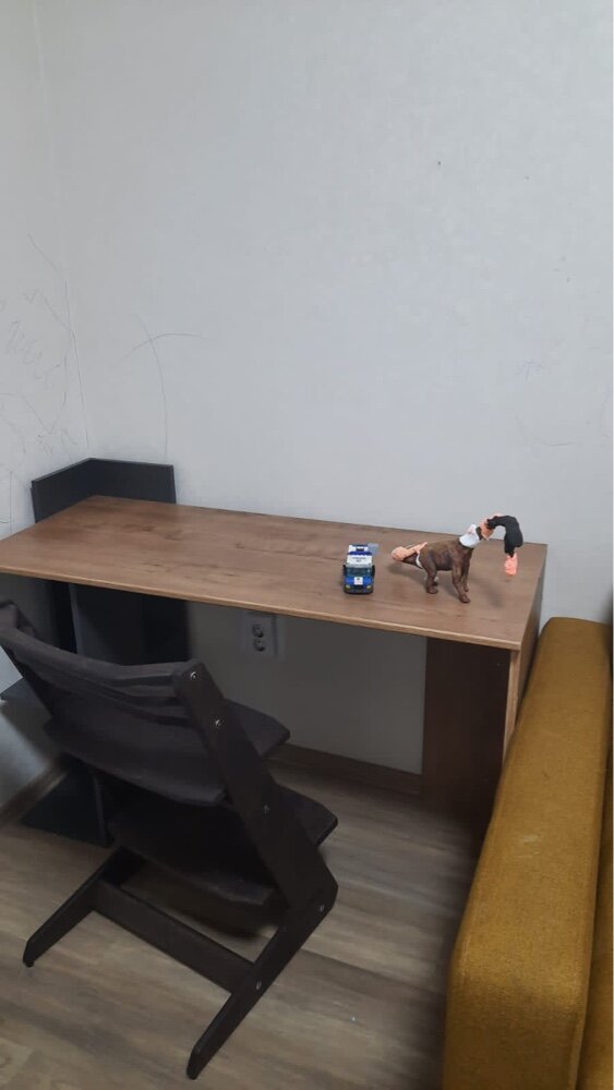 review-photo
