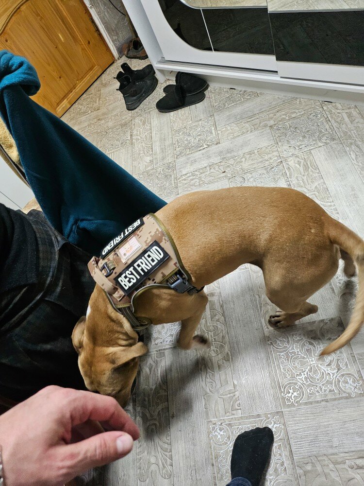 review-photo