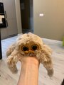 review-photo