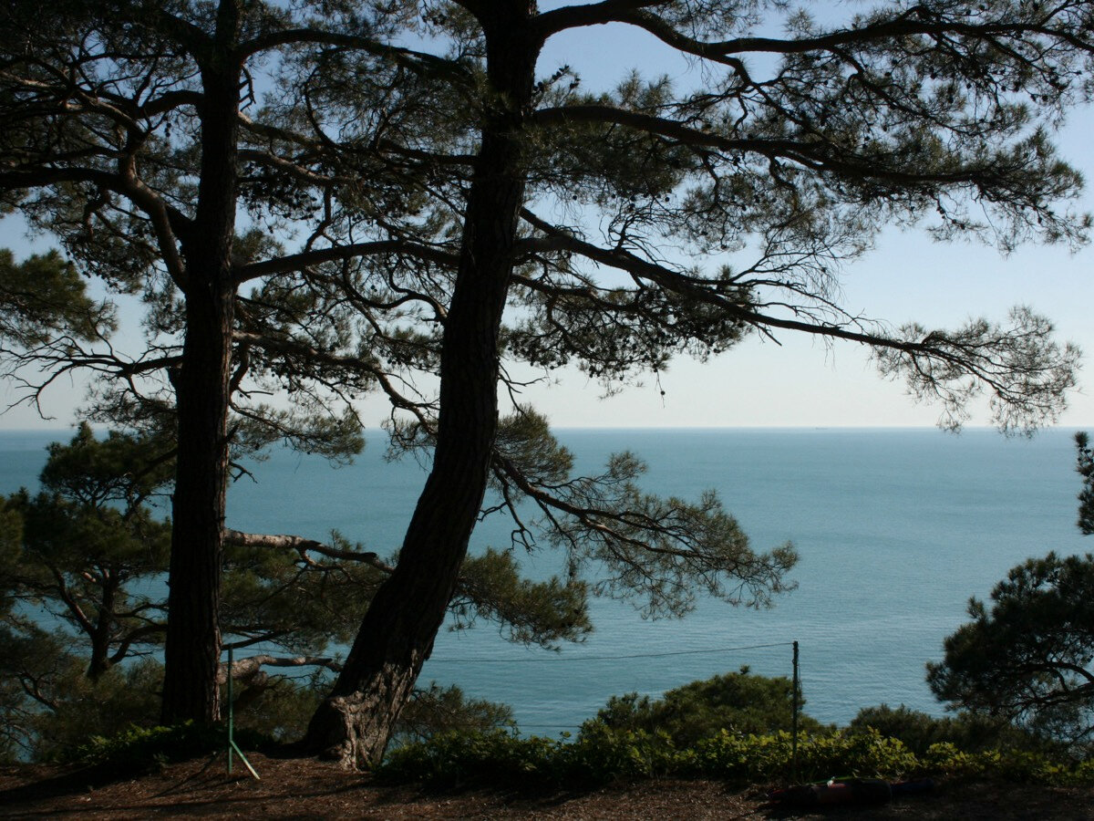 Даже если летите в Геленджик с пересадками,помните, что всё не зря — вас ждёт уютный городок, хвойный лес и дикие пляжи
