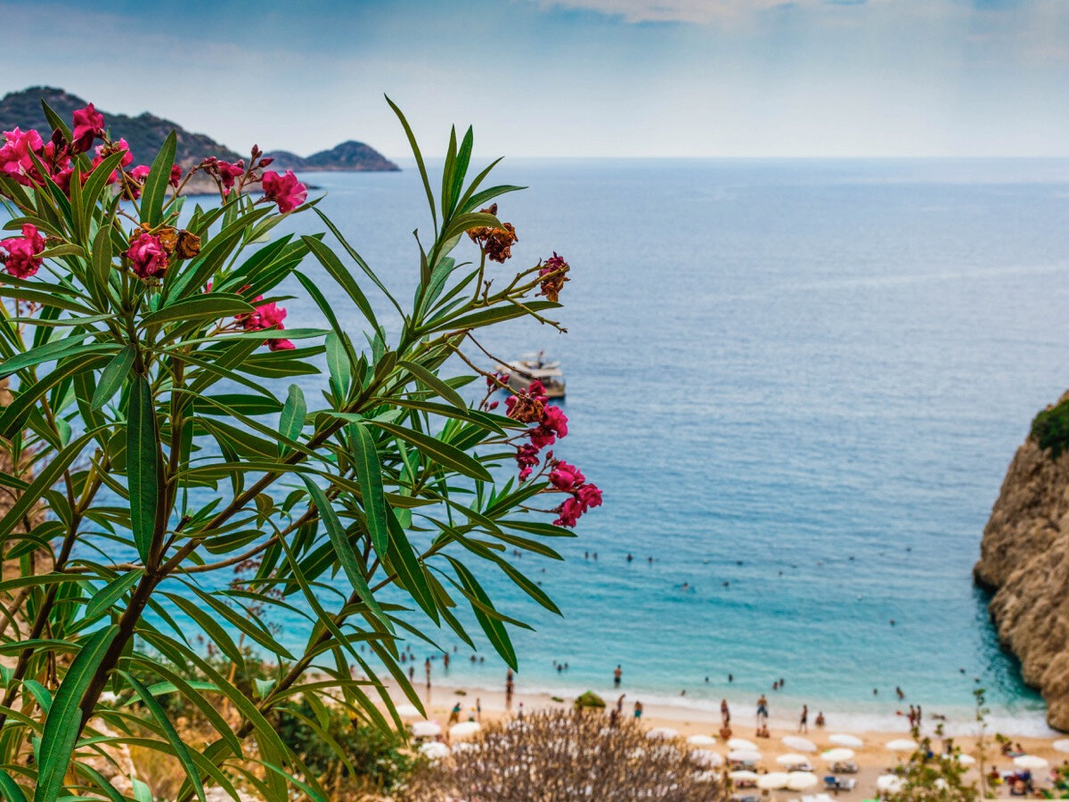 В разгар сезона на популярных пляжах бывает многолюдно.