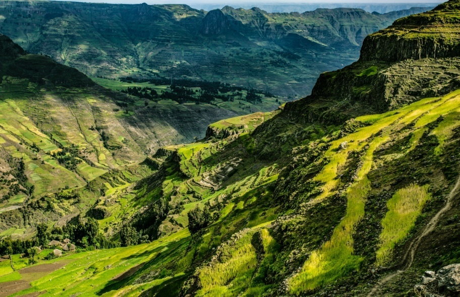 Ещё в Эфиопии можно просто любоваться природой
