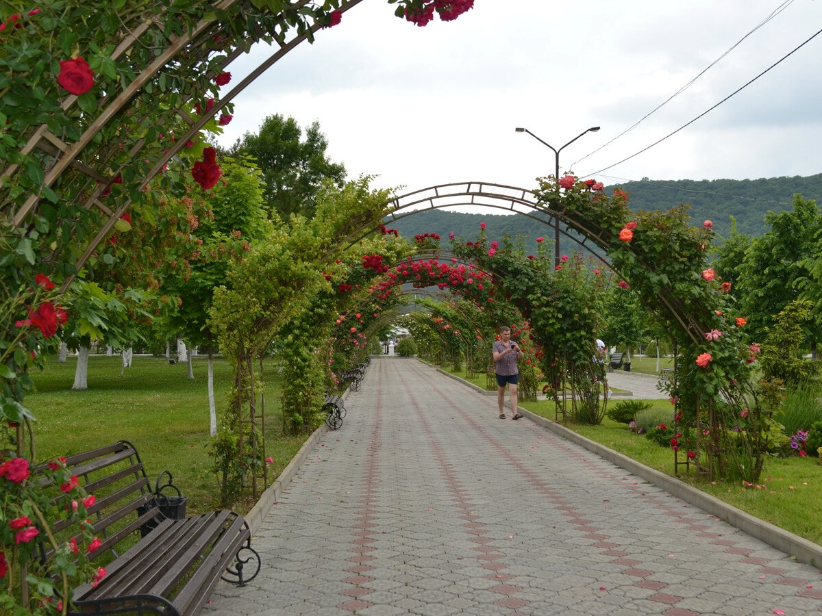 От озера расходятся зелёные аллеи с лавочками и фотозонами