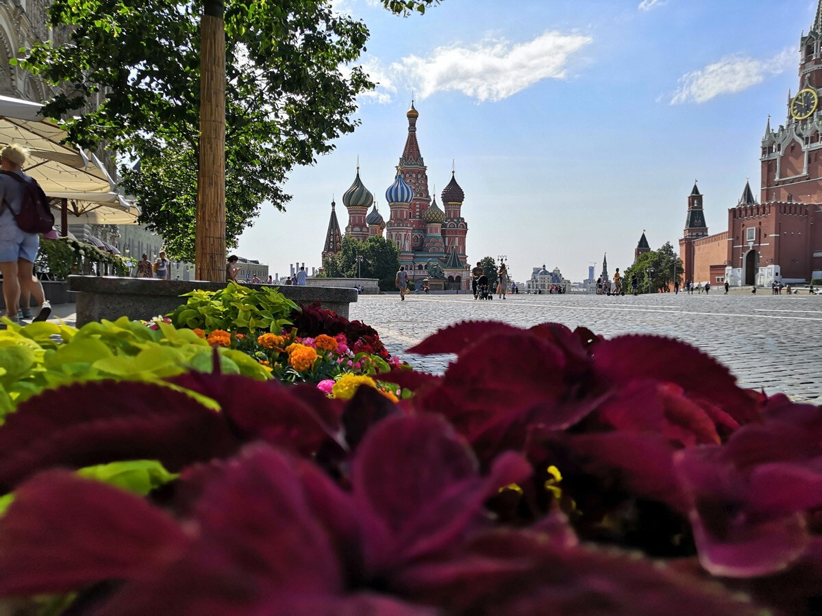 Красная площадь часто становится местом проведения ярмарок и фестивалей, например, летнего «Цветочного Джема»