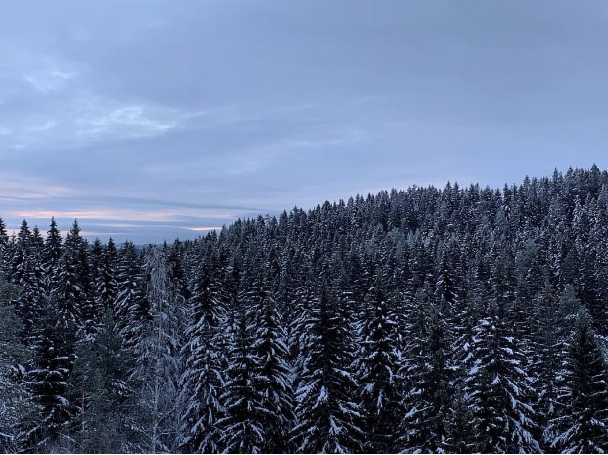 Вид с лавочки городища