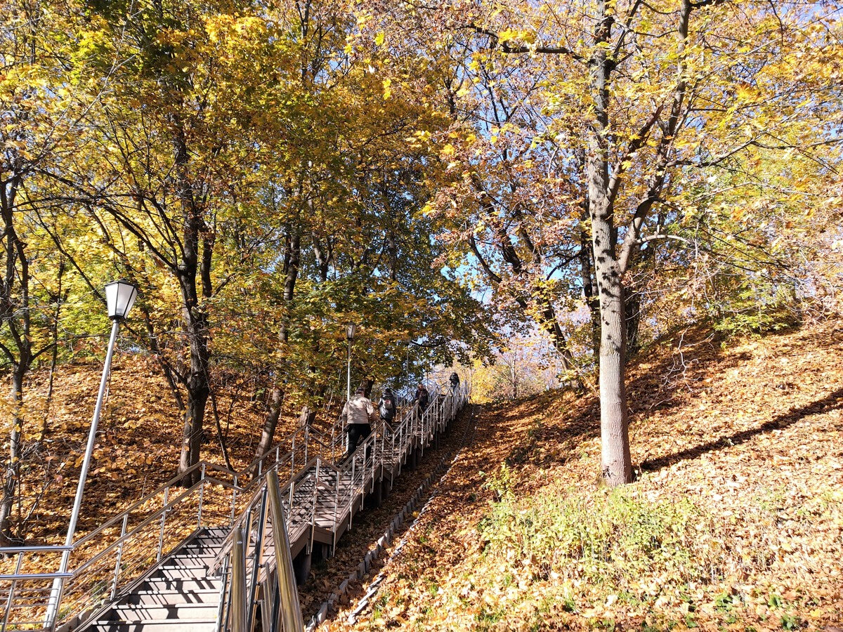 Из Голосова оврага лестница ведет к Государеву двору