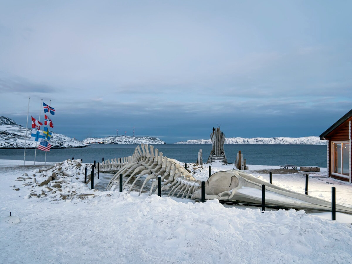 Режиссёр Андрей Звягинцев установил на берегу острова 28-метровый скелет Левиафана.
