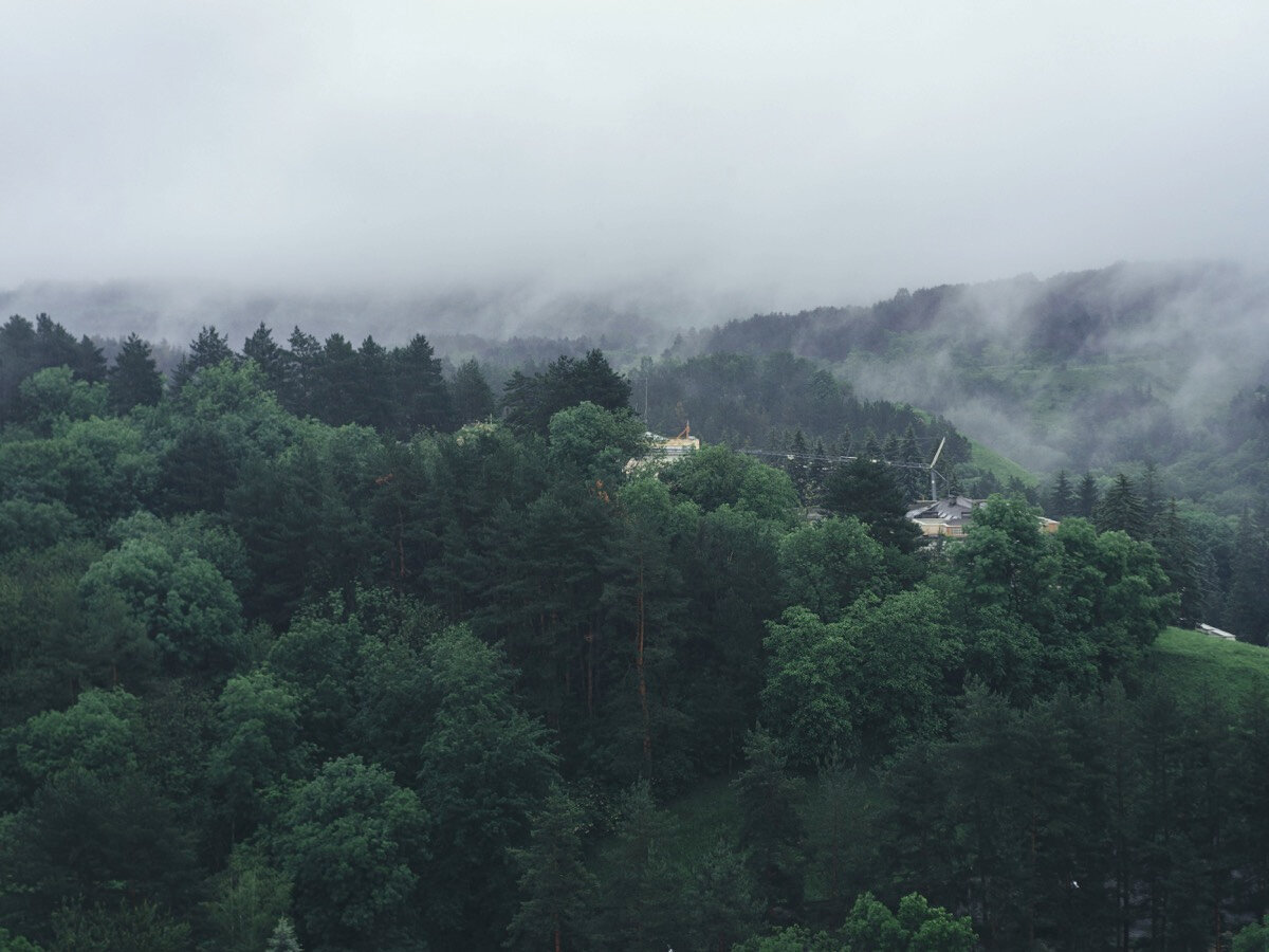 Кисловодский национальный парк на рассвете.