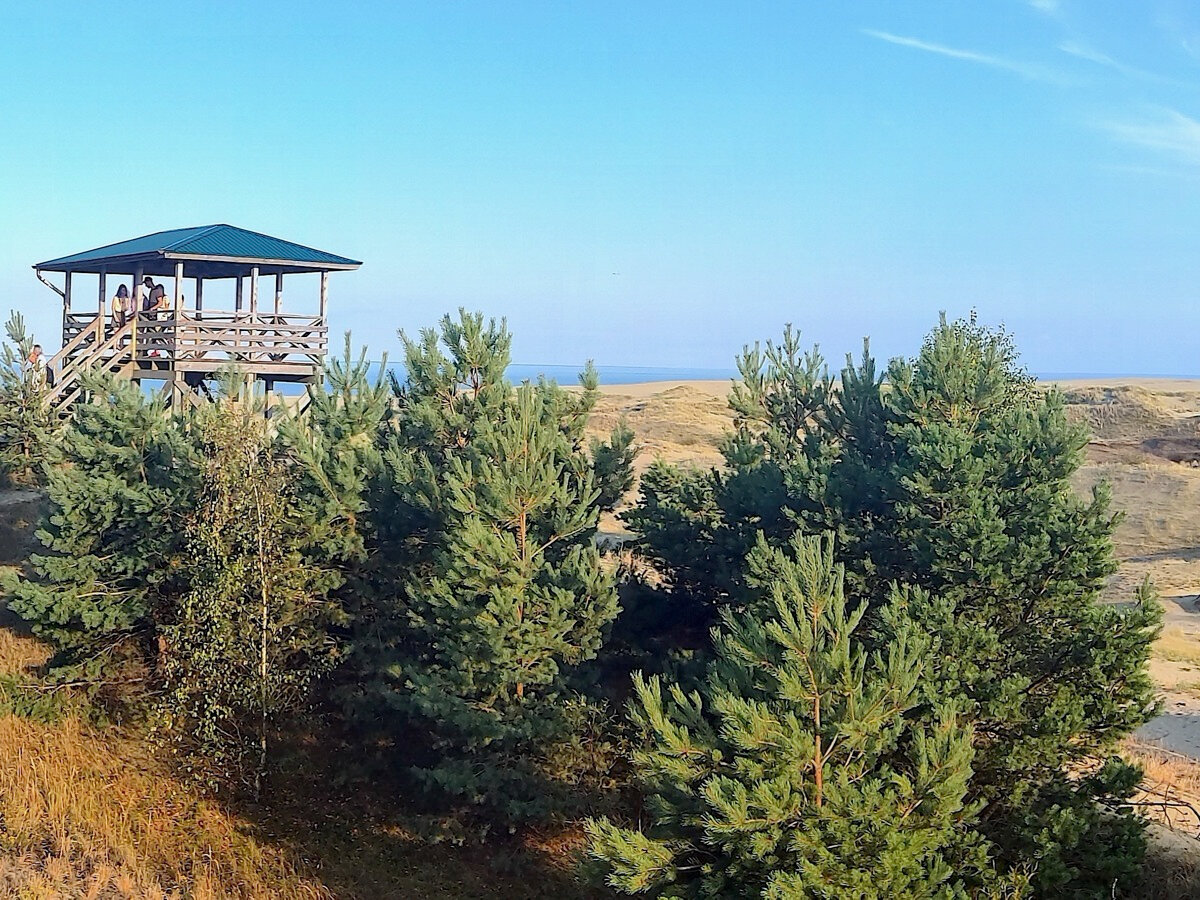 Песчаные дюны, сосны, голубая полоска моря — все это Куршская коса.