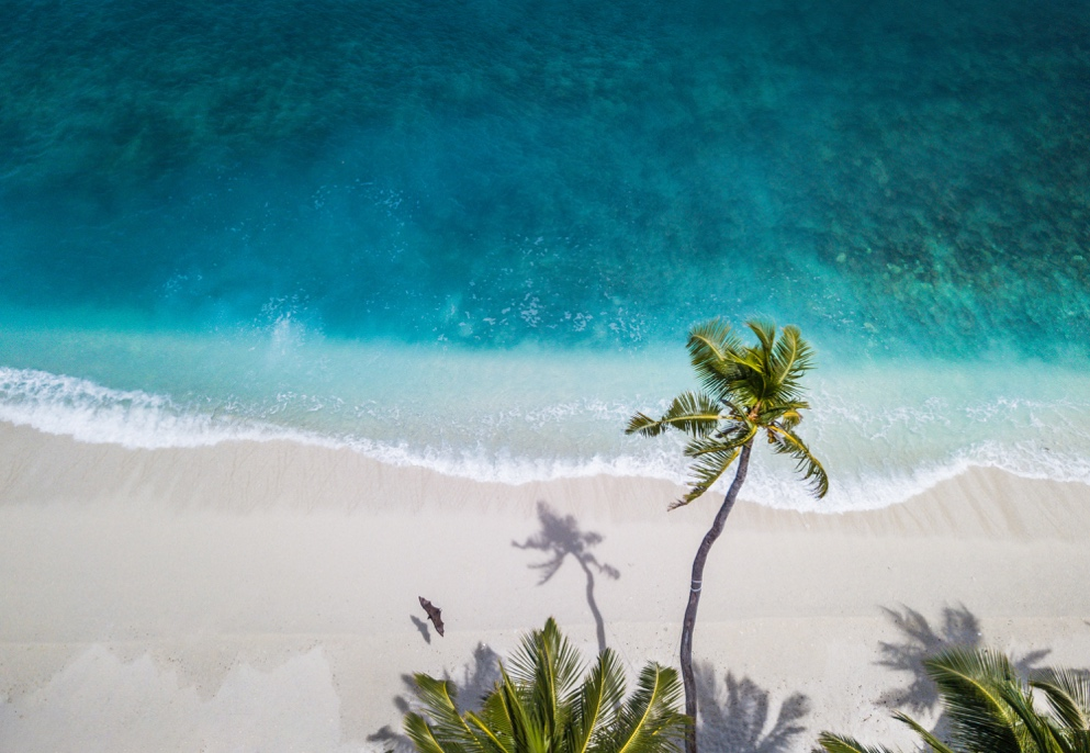 Мальдивы — тропические острова в Индийском океане — стали эталоном райского отдыха