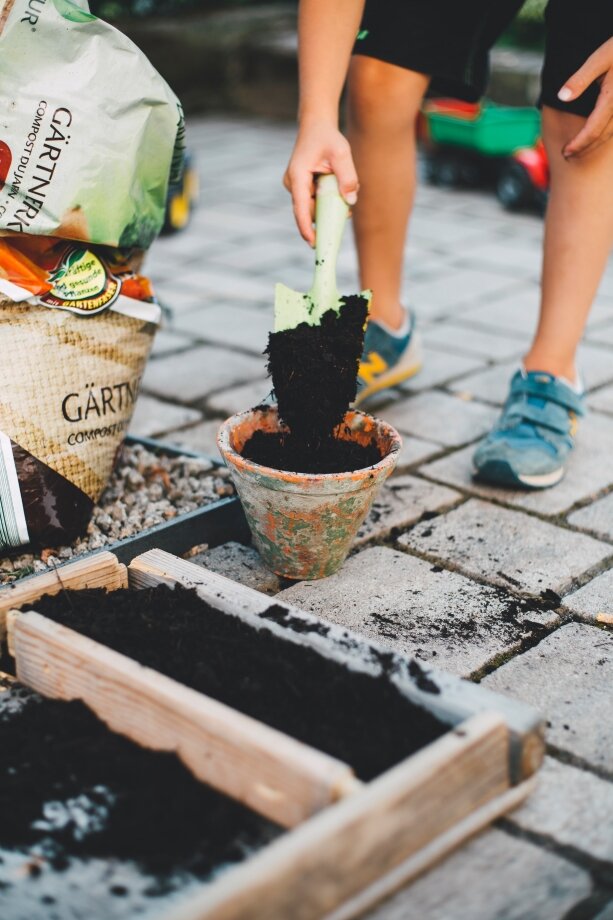 When filling the beds, garden soil is best mixed with river sand and rotted manure or peat.