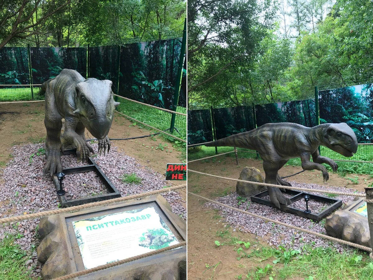 Если впервые окажетесь в парке динозавров, приготовьтесь к их рыку — звучит очень натурально!