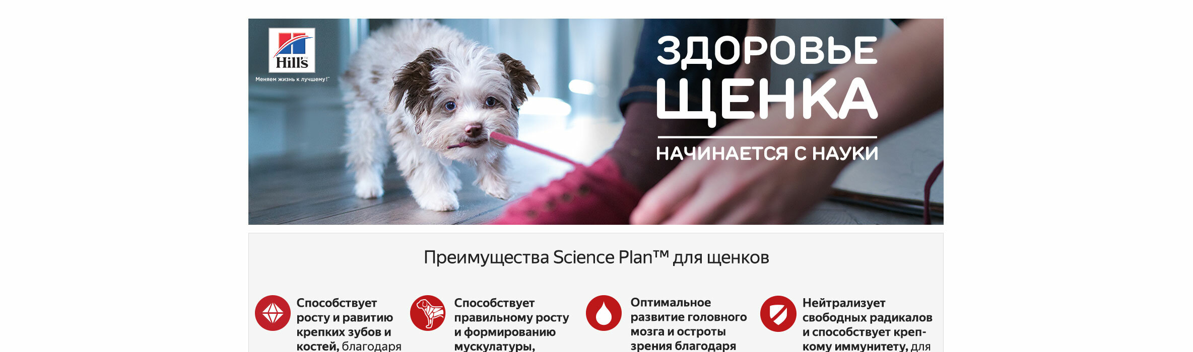 Mirkorma Ru Интернет Магазин Москва