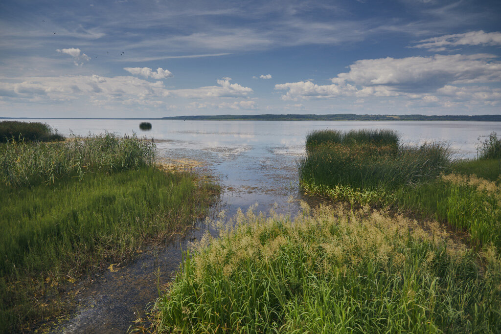 Летом в озёрах и реках Костромской области можно купаться, вода прогревается