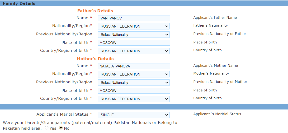 Электронная виза в Индию: оформление, образец заполнения анкеты ...
